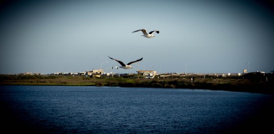 That's the best shot I could get